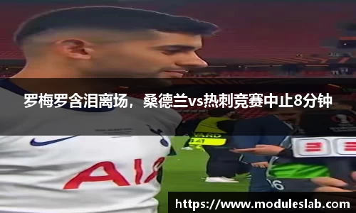 罗梅罗含泪离场，桑德兰vs热刺竞赛中止8分钟